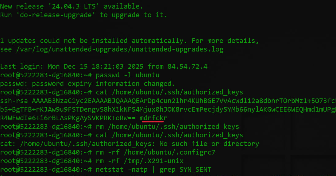 Serverimdi buzıp kirdi: mdrfckr súwreti